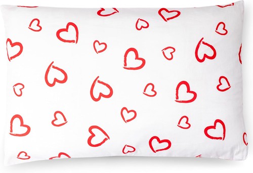 Pinkzebra 40 cm - 20, x