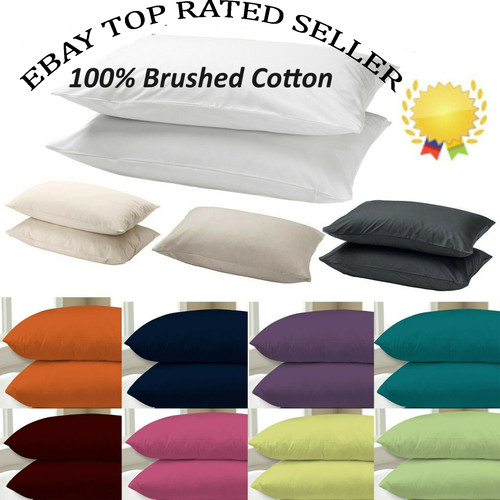 4er pack premium 100 - 100, %