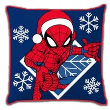 Jugendkissenbezug 40x40